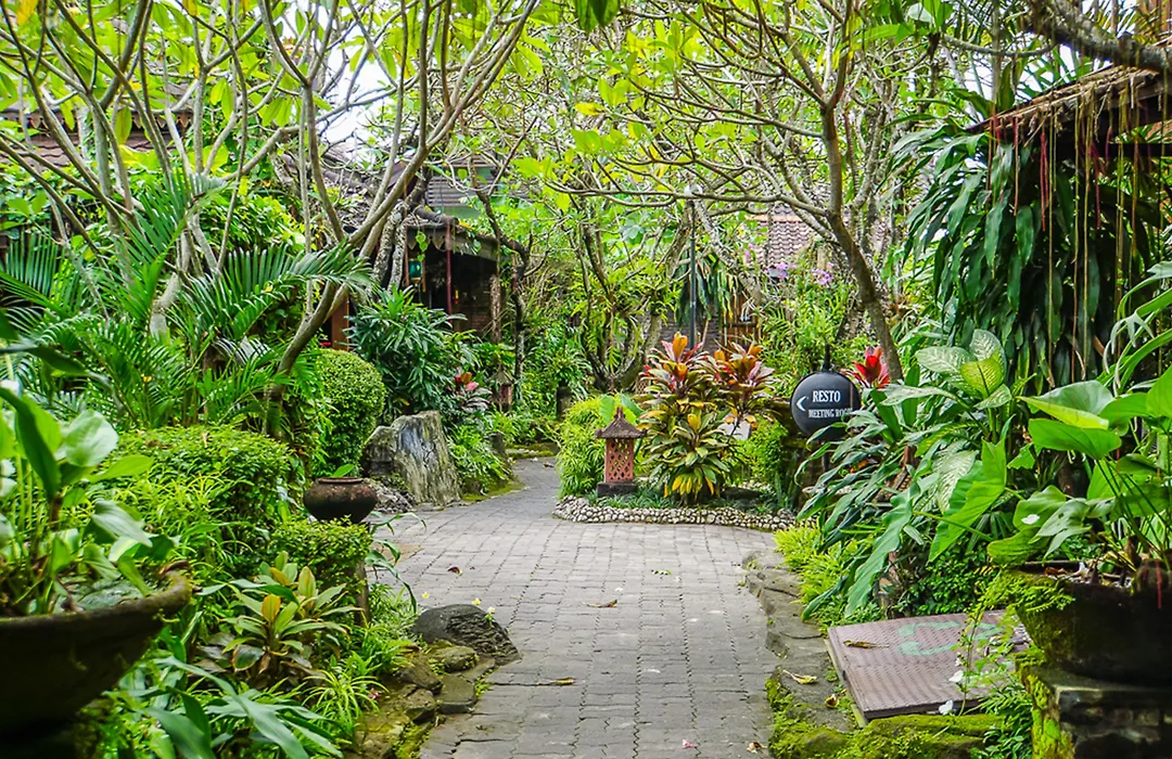 Jogja Village-1
